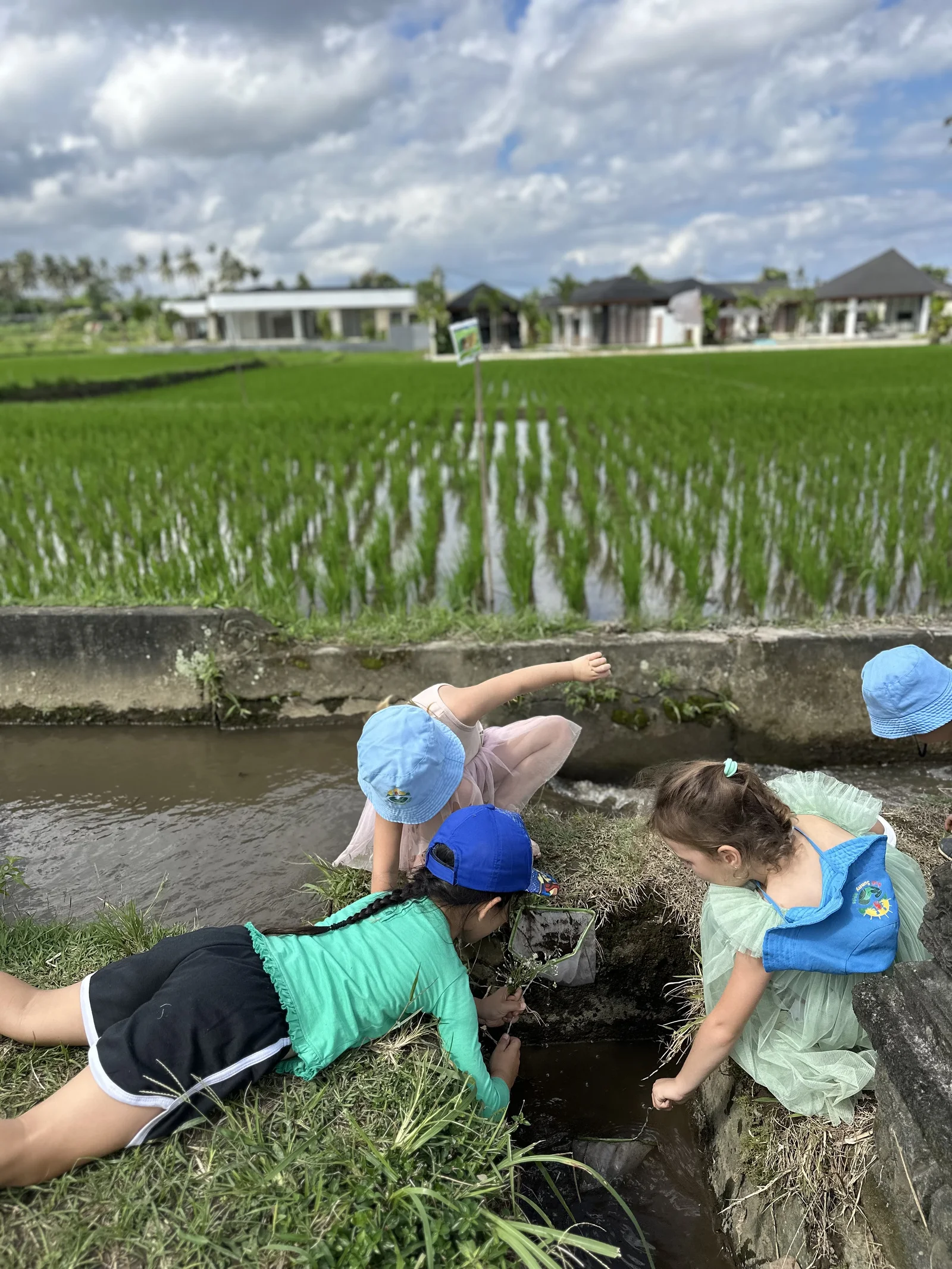 Sunny Kids Moment 106